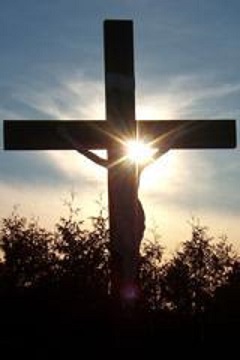 1353509512-26-20109505-34-2295pr (2) - Copy