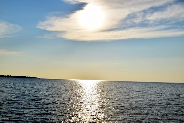 DSC_0203 (2) publish