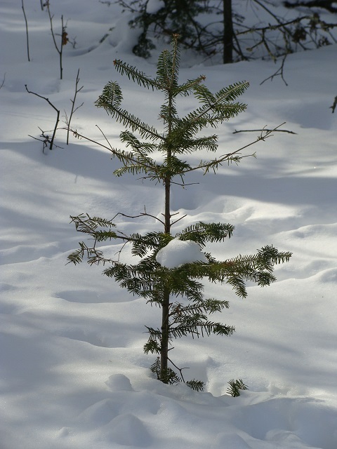 winter 2013 004 publish