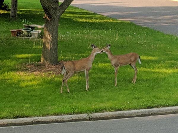 IMG_20190531_072723 publish