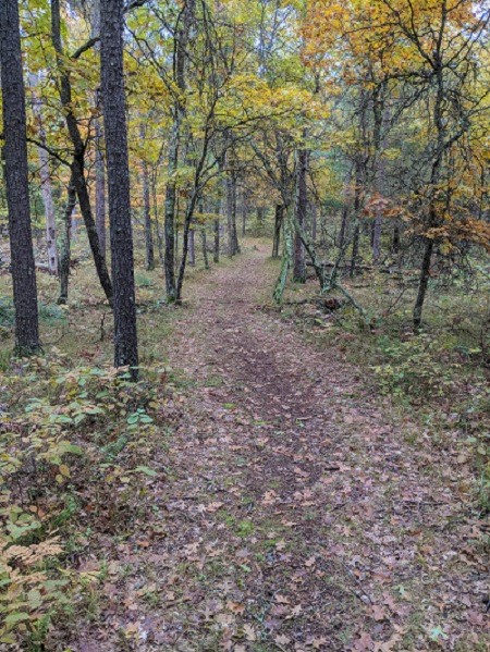 IMG_20181007_080404 publish