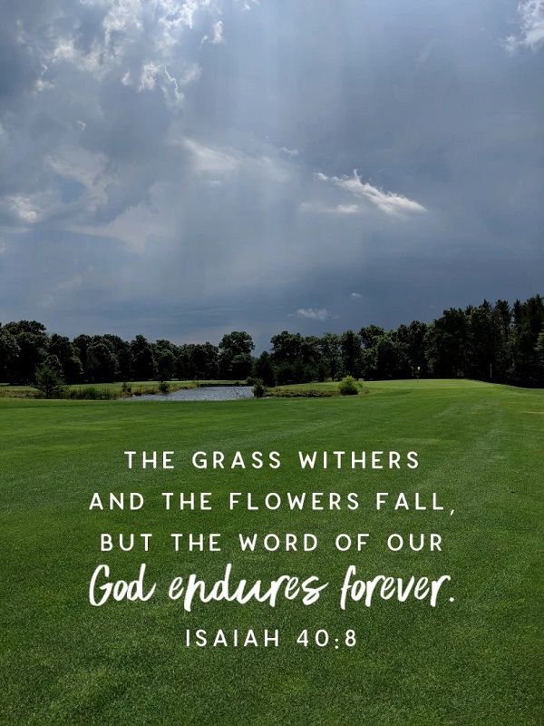 Bible Lens_1578403893476 publish