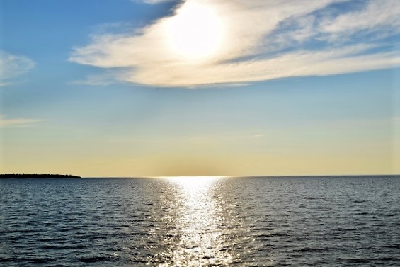 DSC_0203 (2) publish