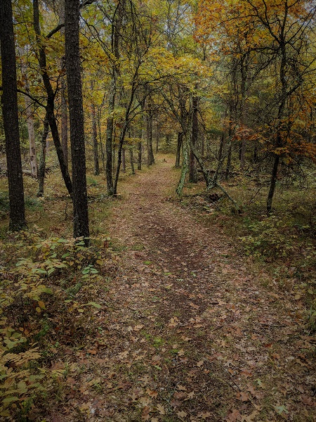 IMG_20181007_080404 publish