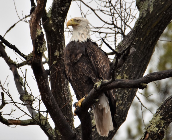 DSC_0009 (2) publish