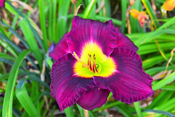 DSC_0005 (3) publish