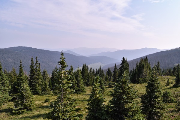 DSC_0065 (2) publish