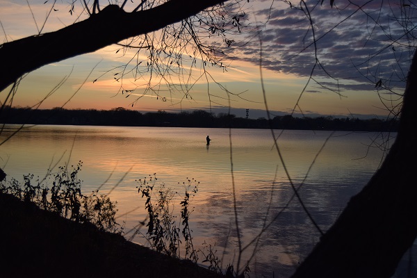 DSC_0135 (2) publish