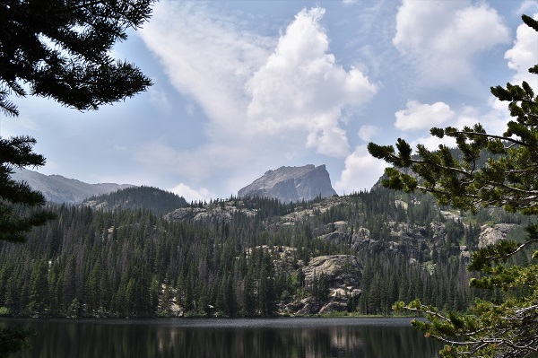 DSC_0226 (2) publish